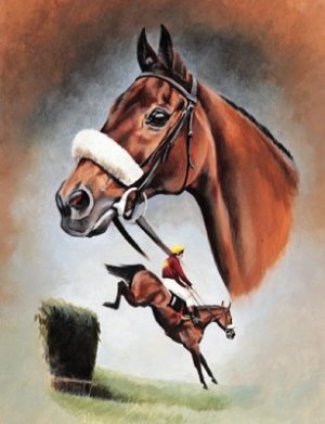A Study of Red Rum