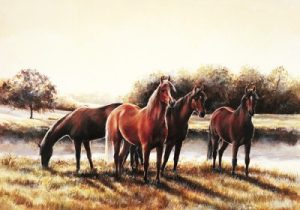 Evening Light