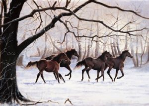 Winter Gallop