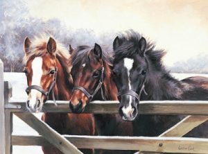 Over the Gate
