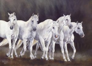 Spanish Horses