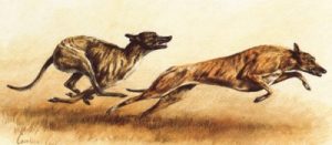 Running Free