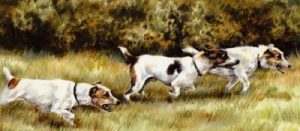 Mutts on a Mission