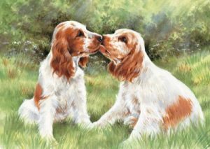Puppy Love