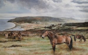 Exmoor Ponies at Porlock