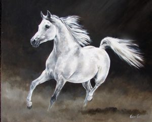 A Study of a Grey Arabian