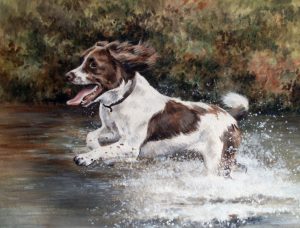 Making a Splash