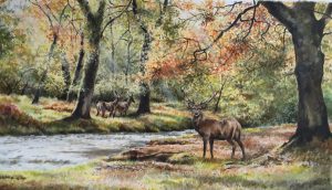 Ded Deer at Horner Water