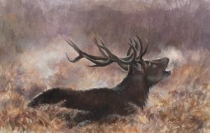 The Roaring Stag