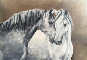 Shades of Grey