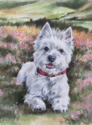 The Young Westie
