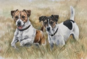 Jack Russells