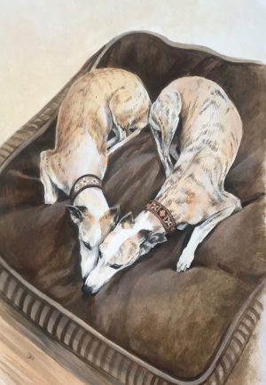 I Love Whippets