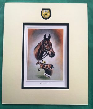 A Study of Arkle
