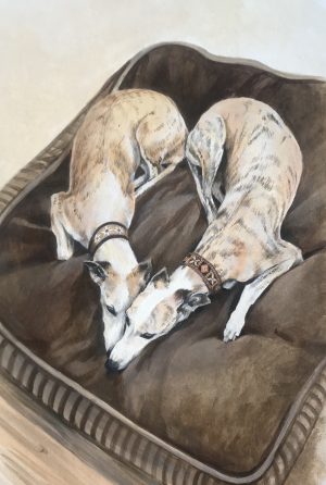 I Love Whippets
