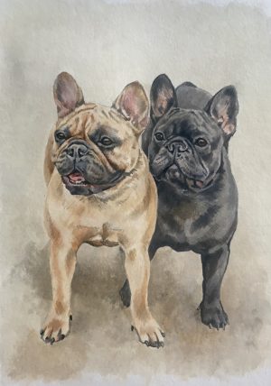 French Bulldogs