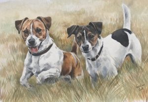 Jack Russell Terriers