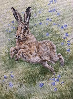 Hare in Harebells