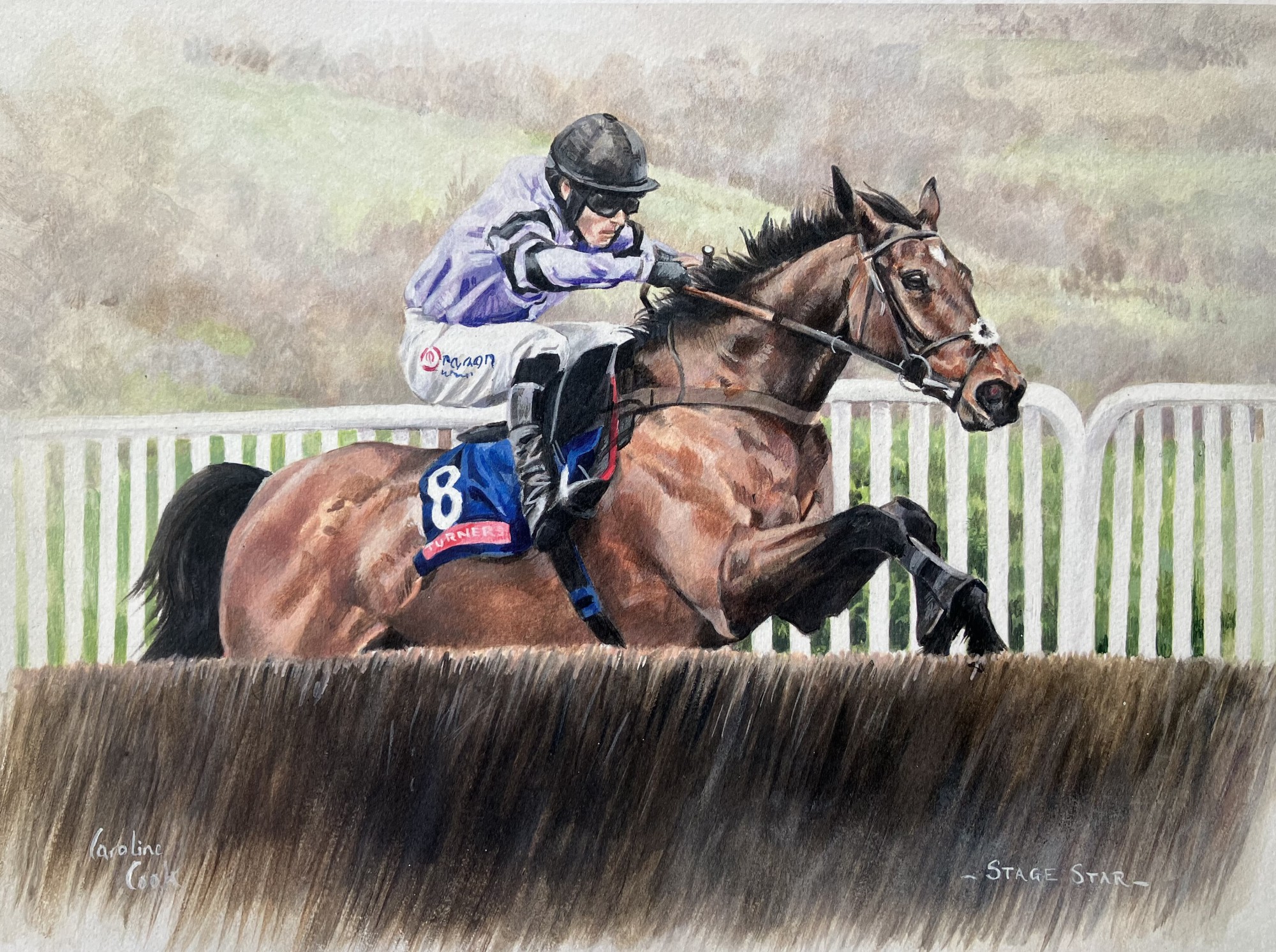 Stage Star at Cheltenham