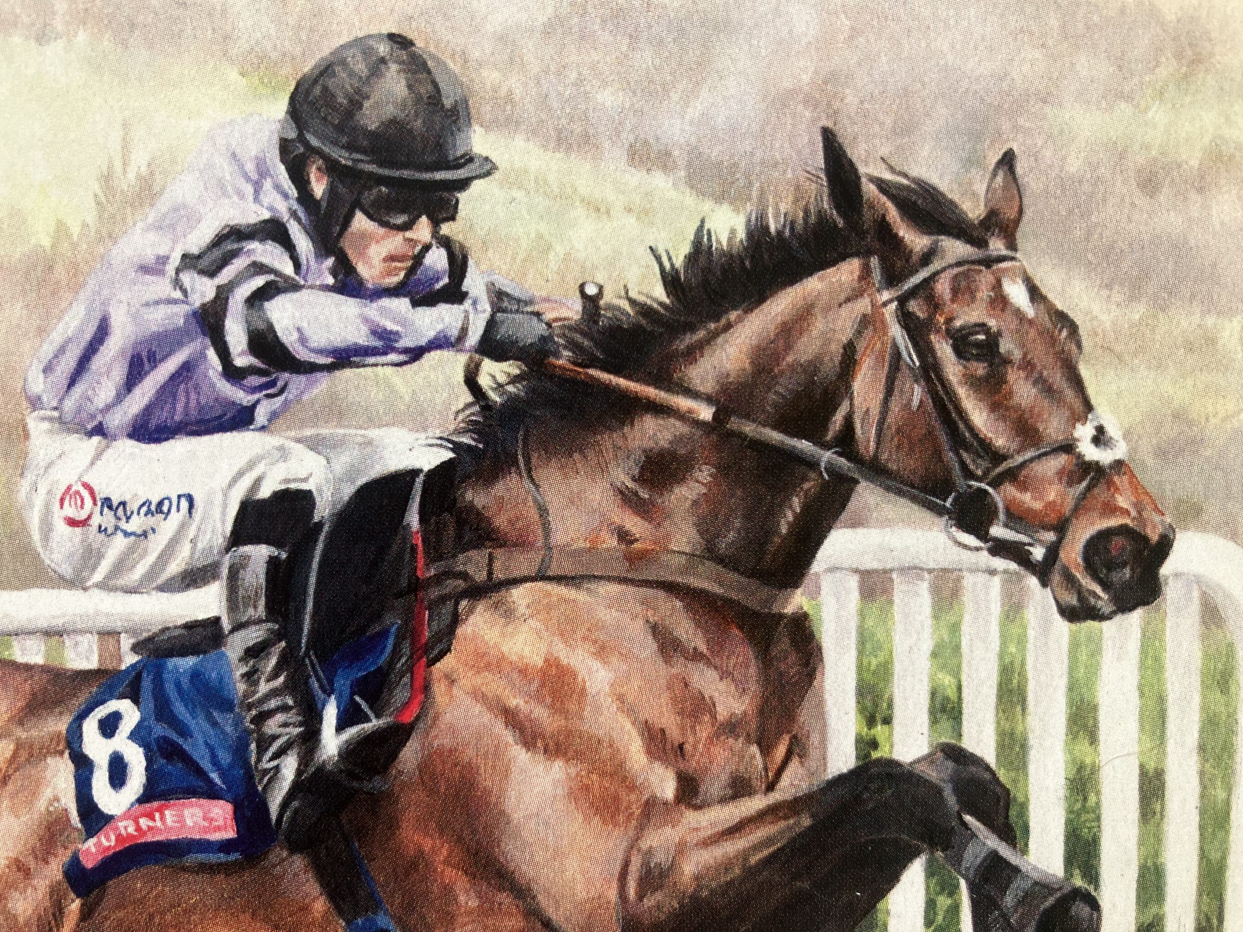 Stage Star at Cheltenham - Image 2