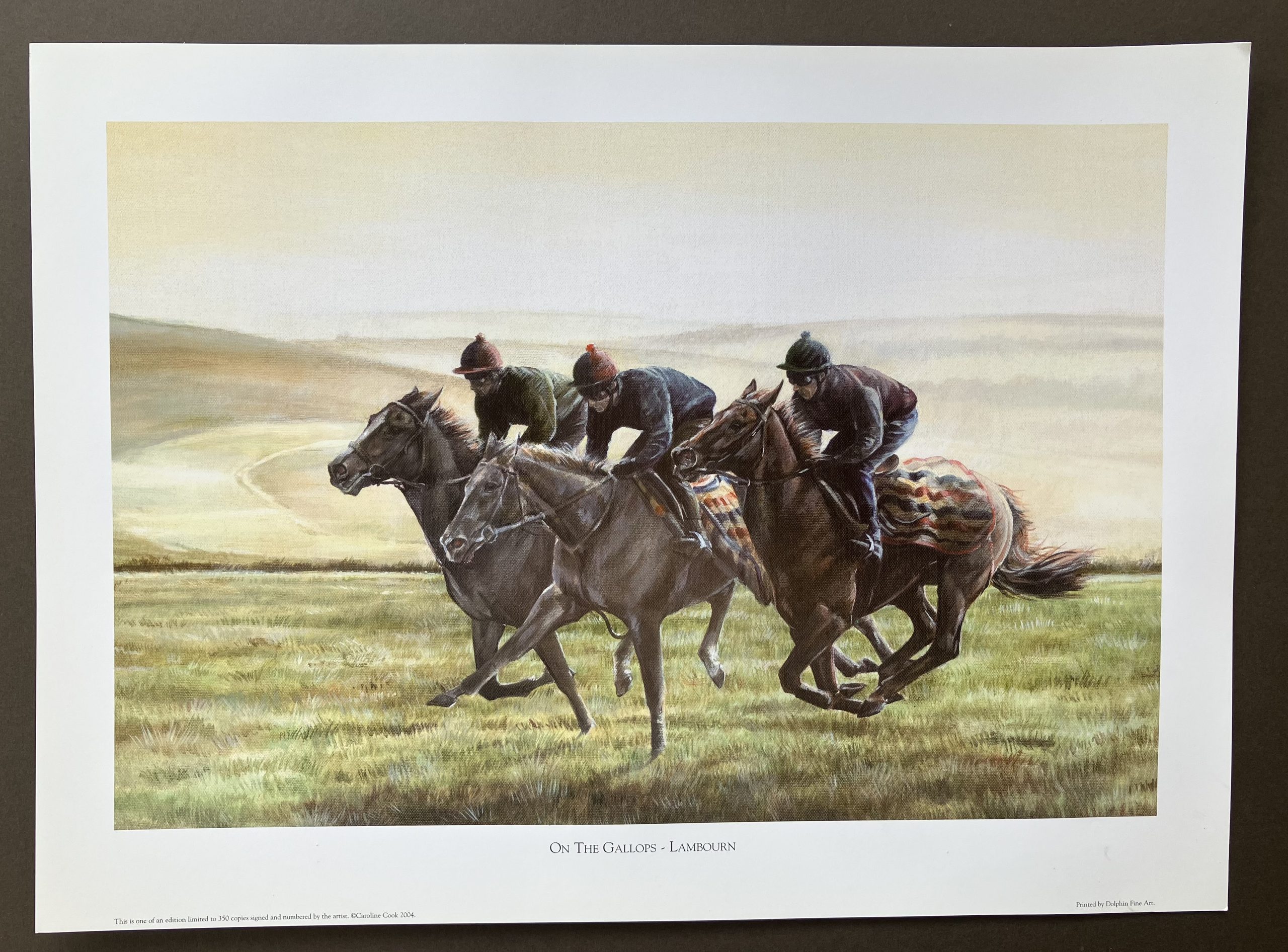 On the Gallops - Lambourn - Image 2