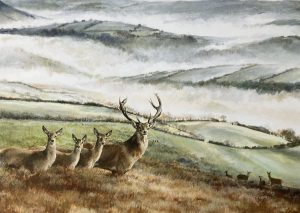 First Light Exmoor