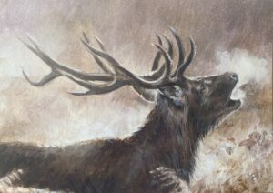 The Roaring Stag - Red Deer Greeting Card