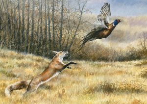 A Near Miss