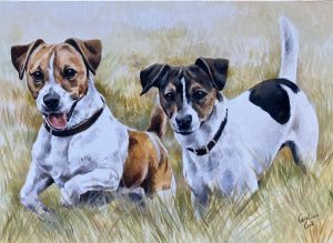 Jack Russell Terriers