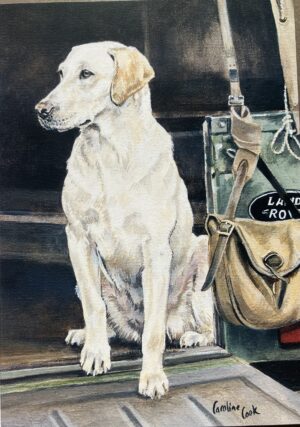A Sporting Life - Yellow Labrador