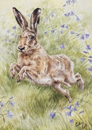 Amongst the Harebells.  Hare greeting Card