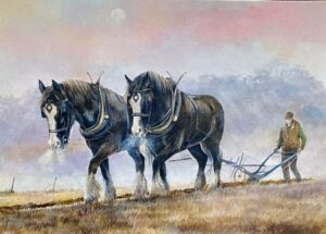 An Early Start. Shire Horse Card