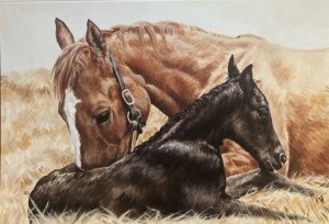 The Newborn Foal