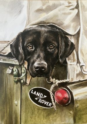 Are We There Yet?