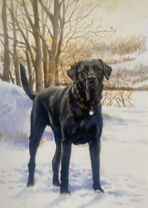 A Winter's Walk Black Labrador Card