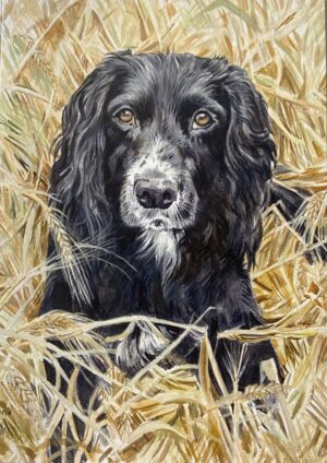 Black Cocker Greeting Card
