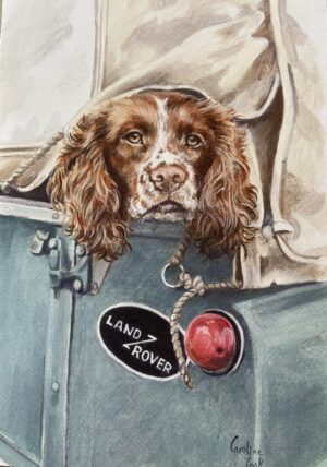The Stowaway