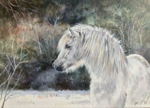 The Snow Queen